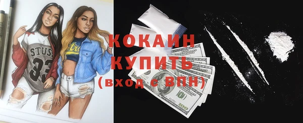 стаф Новокубанск