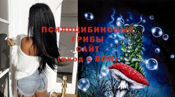 дурь Новозыбков